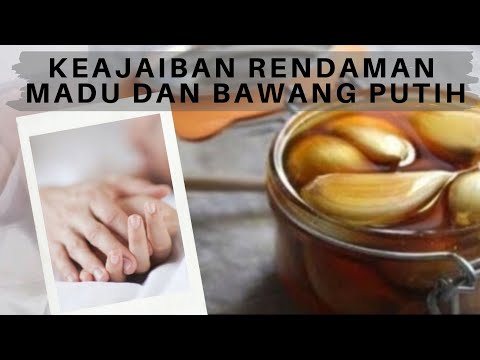 Mengejutkan! Ternyata Ini Khasiat Rendaman Madu dan Bawang Putih