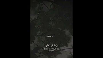 ‏تلاوة ‏سورة ‏لقمان #Quran