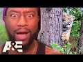 ANIMALS ON THE LOOSE - Top 7 Moments | Neighborhood Wars | A&E