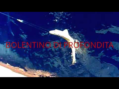 BOLENTINO DI PROFONDITA 28/05/2012