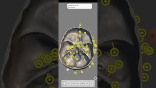 Frontal Bone Of Skull Bone Baba Scienceanimation Video Pharmacy