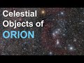 Exploring the Celestial Objects in Orion