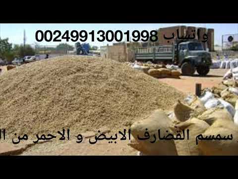 نبيع سمسم القضارف الابيض والاحمر