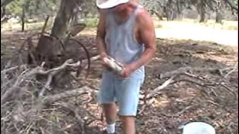 Flintknapping, collecting Texas flint