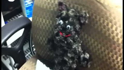 Sparkfun Facility Tour