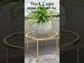 This ₹___ Metal Plant Stand Is Making Homes Look EXPENSIVE 🌿✨ | Home Decor Shorts #hangingplanter