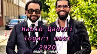 Habib Qaderi - Logari mast 2020 Resimi