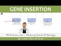 Genetic Engineering Quiz