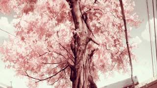 ‫عيني تحن براء العويد (بدون ايقاع) .‬‎