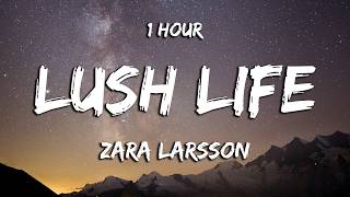 1 Hour  Zara Larsson  Lush Life s loop 