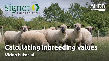 Signet Tutorial Video: Calculating Inbreeding Values