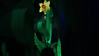 We Fell Down The Rabbit Hole & Got Lost In Tulgey Wood