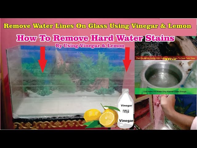 Removing Hard Water Stains from Aquarium # How to remove calcium build-up  or white lines 