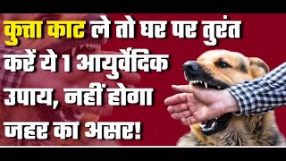 कुत्ता काट ले तो घर पर तुरंत करें ये 1 आयुर्वेदिक उपाय, नहीं होगा जहर का असर! #dogbi te #viral
