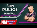 Urim Puliqi Anuari Vogel Dasma Te Meti Sy Verdhi