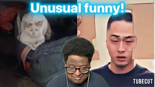 @UnusualVideos compilation v349 &350 TNTL