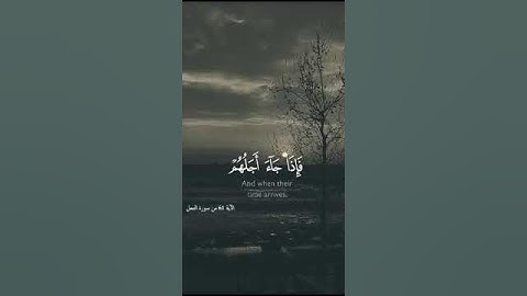 قرآن كريم آرح سمعك حالات واتس اب