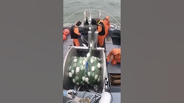 Fish picking in Bristol Bay Alaska! #bristolbay #sockeye #alaska