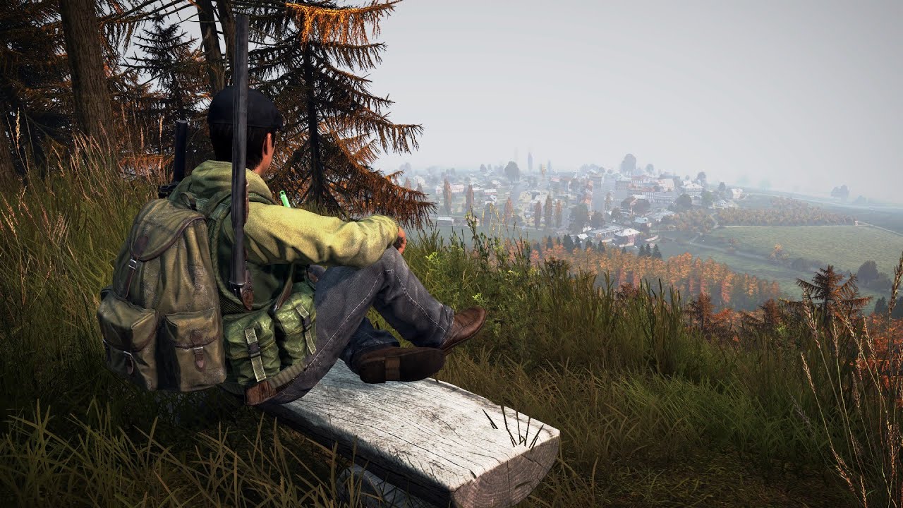 Dayz steam torrent фото 42