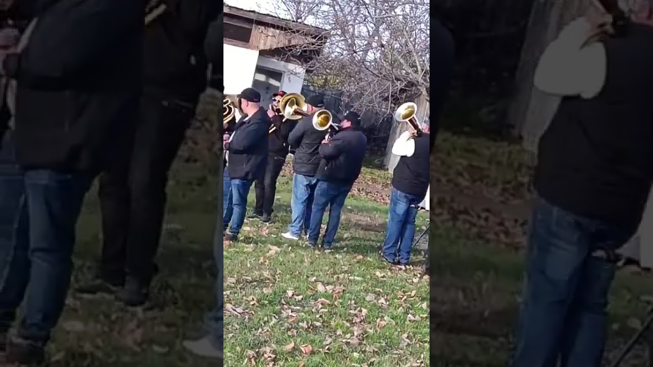 Fanfara lui Raducu de la Valea Mare tel.0772135953