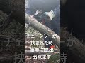 チェーンソーが挟まれた時簡単に脱出する方法
