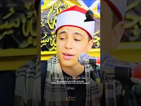 وتفقد الطير محمد ماهر الشناوى شاهد هذا الجمال في التلاوة قران راحة نفسية اكسبلور محمد الشناوي