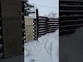 Пасхальный снегопад на Алтае.