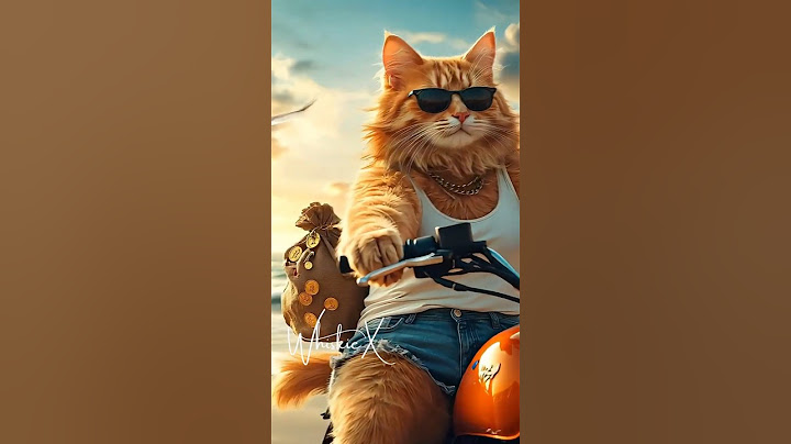 Found a Treasure!  #catvideos #cat #funny #funnycatvideos #funnycat #cute #catlover