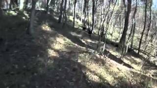 Bowman Lake Trails.m4v