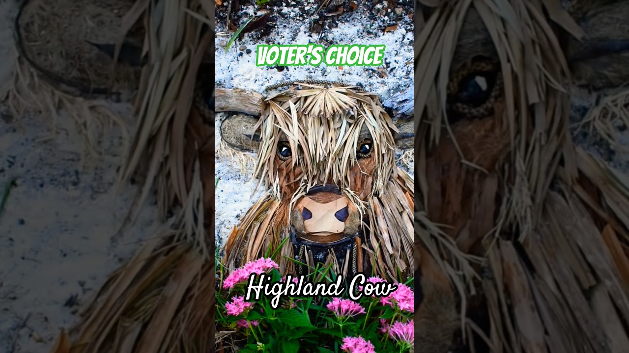 Voter's Choice! Highland cow made from PALM FRONDS 🌴 