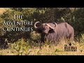 African Safari on the Eastern Cape | The Adventure Continues