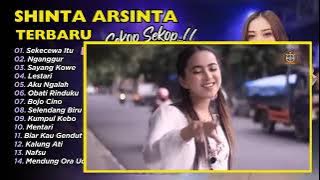 Download lagu Shinta arsinta - sekecewa itu - versi sekop sekop | FULL ALBUM DANGDUT