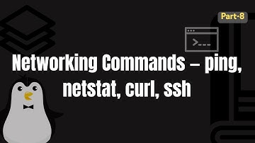 Networking Basics Explained: ping, netstat, curl & ssh in Action!