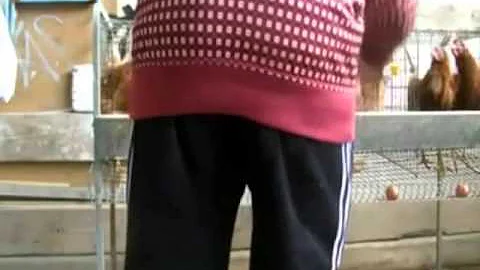 Dario Castaeda Romero 1A