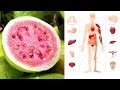 Guava Fruit and Guava Leaves Health Benefits