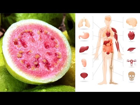 Guava Fruit And Guava Leaves Health Benefits