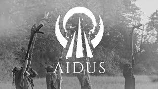 ELUVEITIE - Aidus (OFFICIAL LYRIC VIDEO)