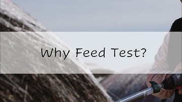 Feed Testing  - Why Do It?