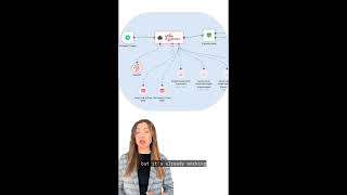 The AI Carousel Agent