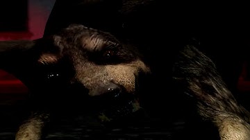 Need For Speed The Run Escaping From Las Vegas HD