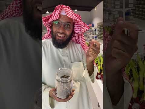 لعشاق الابصال اماراليس زهور فواكه نباتات بريه الطلب عن طريق متجر مشتل روض موجود على قوقل