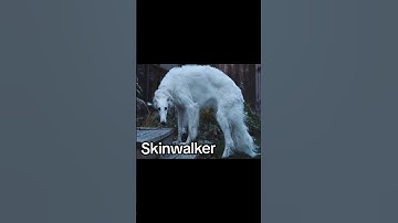 Thumbnail of skinwalker disguised as animals😳 pt-11 #scary #horrorshorts #shorts