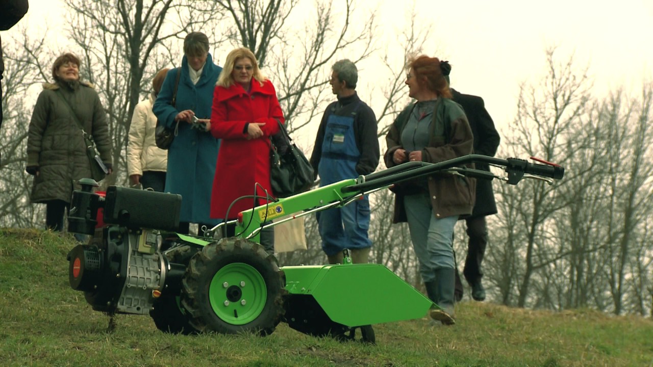 Moje mjesto pod sunce - My place under the sun delegation of authority and decentralization