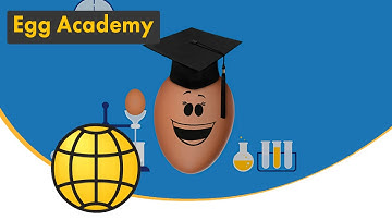 Become and eggspert! - Learn everything you need to know about spray drying of eggs