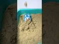 Miniature Sea Animal Toys Diorama sand bury Labubu troll | Satisfying ASMR Toy Video #meme