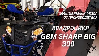 :    GBM SHARP BIG 300