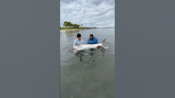 Stackz Compilation Part 41 “Just More Florida Man”