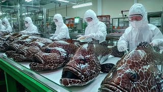 Pulling a 200kg Giant Grouper From the Depths: The Ultimate Deep Sea Fishing Challenge!