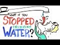 What If You Stopped Drinking Water?
