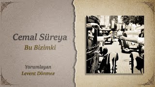 Cemal Süreya / Bu Bizimki Resimi